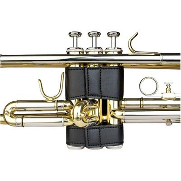 Trumpet valve store guard