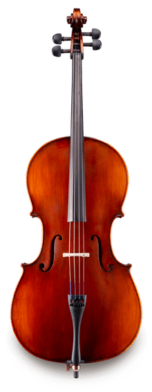 Eastman deals strings violin