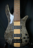 Used Spector NS-2000/5 Dan Briggs Signature - Black Stain Gloss Burled Poplar Top