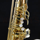 OPEN BOX Yanagisawa TWO20 Professional Tenor Saxophone