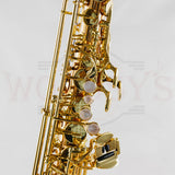 OPEN BOX Yanagisawa AWO2 Professional Model Bronze Alto Saxophone