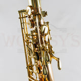 OPEN BOX Yanagisawa AWO2 Professional Model Bronze Alto Saxophone