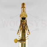 OPEN BOX Yanagisawa AWO2 Professional Model Bronze Alto Saxophone