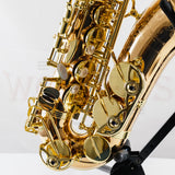 OPEN BOX Yanagisawa AWO20 Elite Model Bronze Alto Saxophone